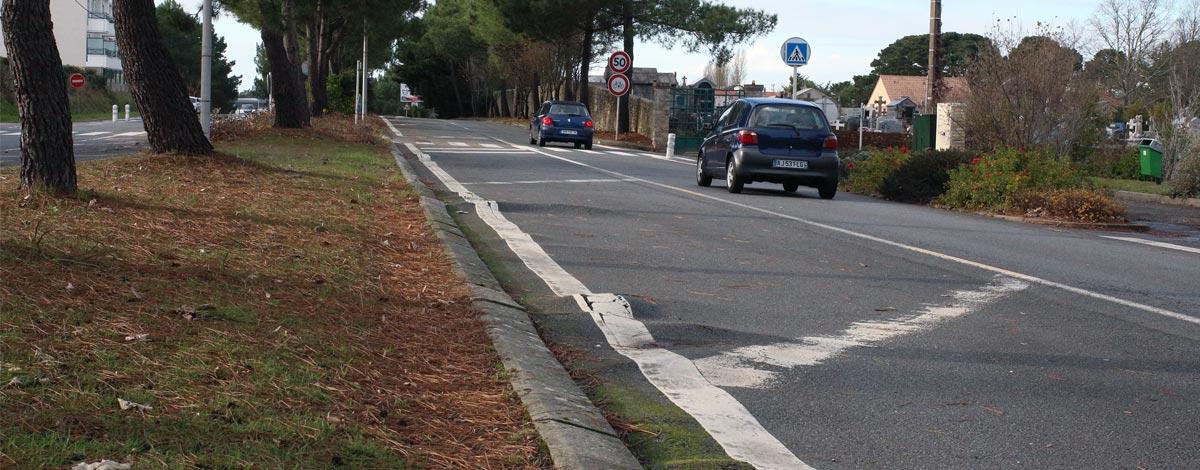 Remplacement des pins sur le Boulevard de Saint-Nazaire
