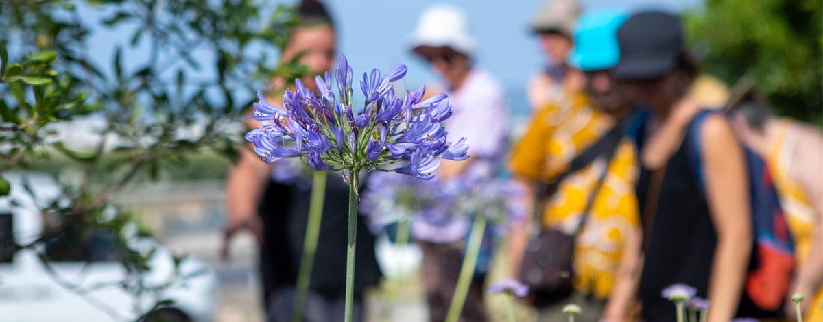 Panorama de l’été à l’Office de tourisme et de Congrès