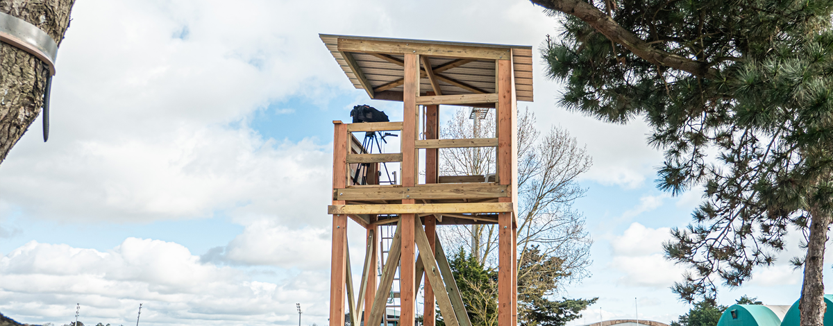 Hippodrome : une plateforme mieux intégrée