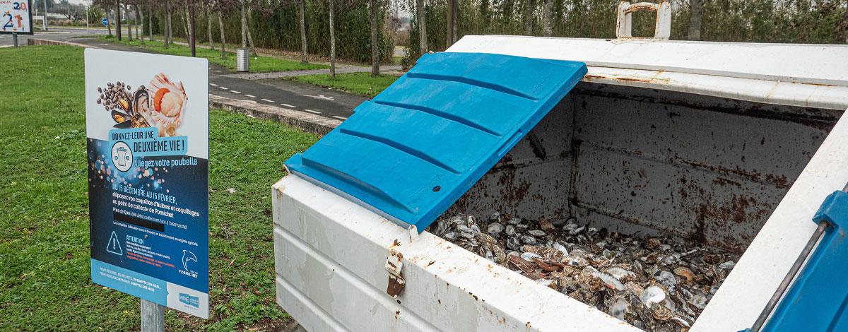 Valorisation des déchets : déjà plus de 2 tonnes de coquilles collectées à Pornichet