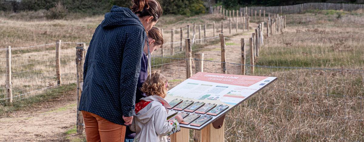 En savoir plus sur la dune grise en s’amusant