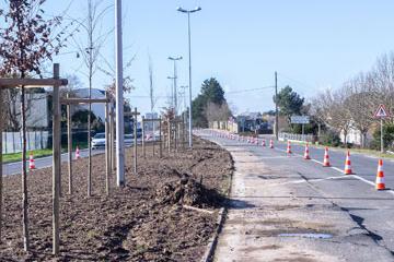 Travaux sur le boulevard de Saint-Nazaire