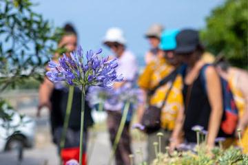 Panorama de l’été à l’Office de tourisme et de Congrès
