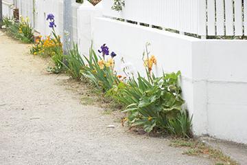 Embellir sa ville en fleurissant son pas de porte
