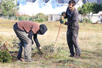 Dune grise de Bonne Source : nouvelle action de préservation et de sensibilisation le 5 février