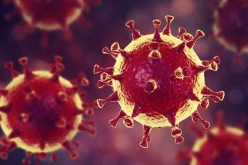 coronavirus