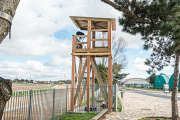 Hippodrome : une plateforme mieux intégrée