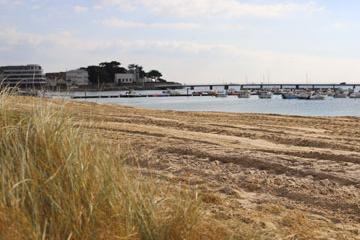La renaturation de la dune continue
