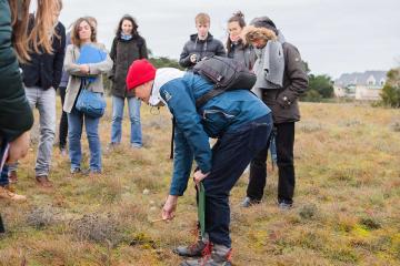 dune grise atlas biodiversité Pornichet