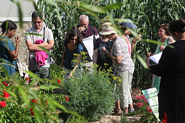 Les 3 et 4 juin prochains, Pornichet vous invite aux jardins