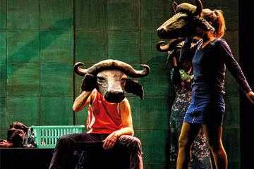 Quai des Arts : une saison pleine de fraîcheur !