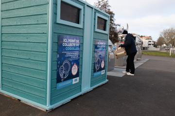 coquille d'huître collecte